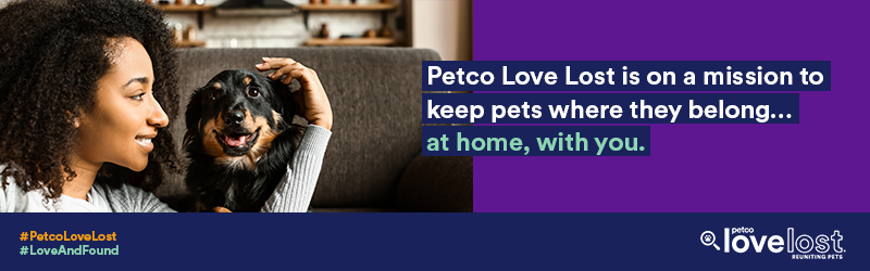 Petco Love Lost is on a mission to keep pets where they belong...At home with you.