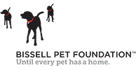 Bissell Pet Foundation - Until Every Pet Has a Home