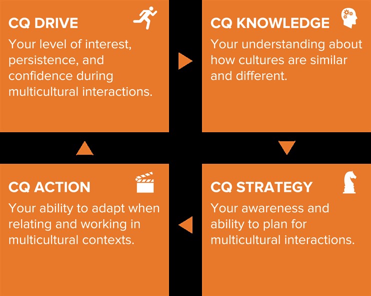CQ Drive: Your level of interest, persistence, and confidence during multicultural interactions; CQ Knowledge: Your understanding of how cultures are similar and different; CQ Action: Your ability to adapt when relating and working in multicultural contexts; CQ Strategy: Your awareness and ability to plan for multicultural interactions