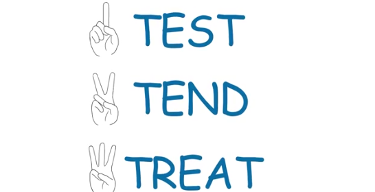 Test, Tend, and Treat