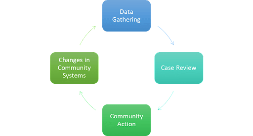 Data Gathering leads to Case Reviews, which leads to Community Action, which leads to Changes in Community Systems