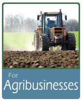 For Agribusinesses